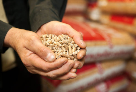 Een Webshop voor Pellets Kiezen: Tips voor Prijs en Kwaliteit